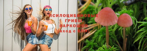 стафф Алексин