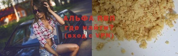 стафф Алексин
