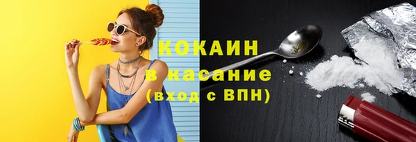 стафф Алексин