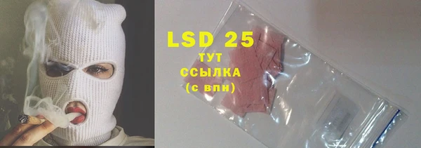 стафф Алексин