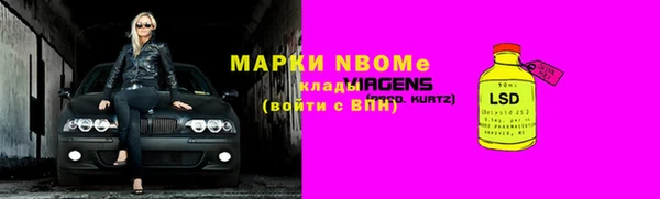 стафф Алексин