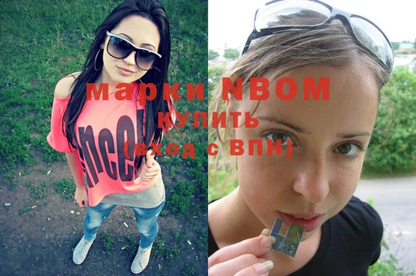 индика Алзамай