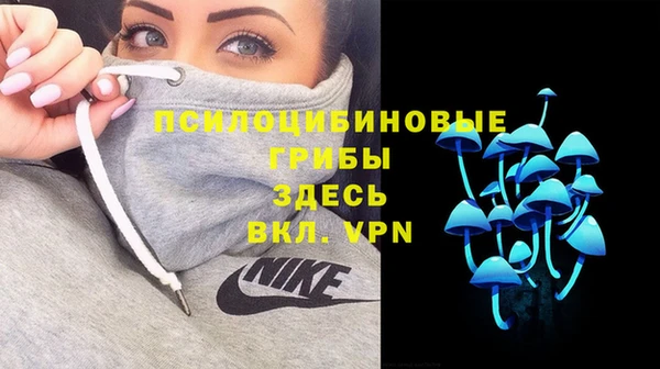 стафф Алексин