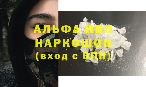 индика Алзамай